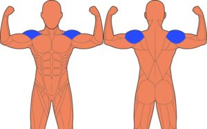 懸垂で鍛えられる筋肉はどこか解説 筋肉部位別バリエーションも解説 懸垂で背中が鬼の顔